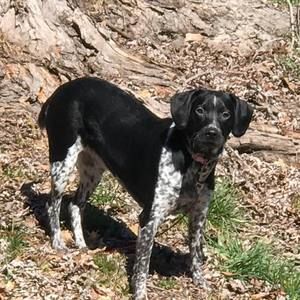 Meet your Posher, Rob